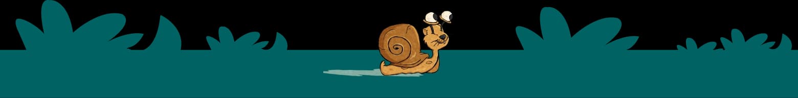 snail